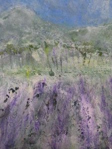 lavender-field